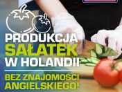 Pracownik produkcji żywności – Produkcja i pakowanie sałatek – NL