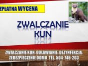 Pastuch na kuny, cena tel. 504-746-203. Kuna, Odławianie, odstraszanie, ochrona