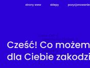 Agencja interaktywna weBites