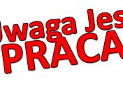 Sortowanie paczek/zabawek– Niemcy- BONUS- ZWROT ZA BUSA!!!