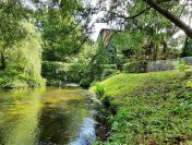 Spływy kajakowe rzeką Wel - Pole namiotowe z zapleczem - Pokoje