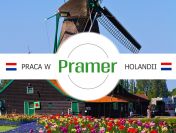 Produkcja artykułów higienicznych - jedna zmiana - Holandia - praca w Holandii