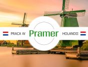 Pracownik magazynu - order picker | jedna zmiana ???? - praca w Holandii