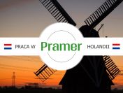 Pracownik szklarni z bakłażanami - bez języka✔️ - praca w Holandii