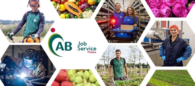 Pracownik utrzymania zieleni miejskiej – praca w Holandii (M/K)  - Zdjęcie 1