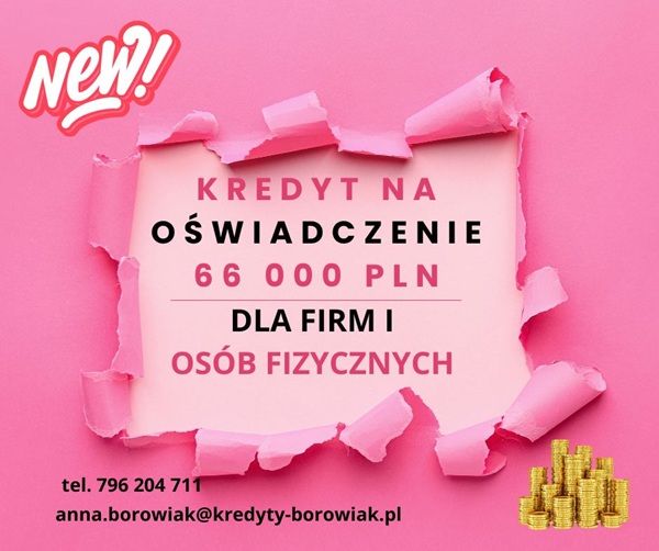 KREDYT DLA FIRM I OSÓB FIZYCZNYCH NA OŚWIADCZENIE – DO 66 000 ZŁ! Gdańsk - Zdjęcie 1