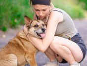 Tores - niekonfliktowy, rodzinny psiak!