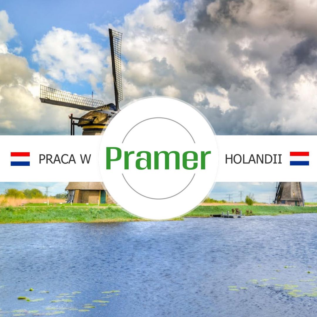 Pracownik produkcji wyrobów jajecznych  - praca w Holandii  - Zdjęcie 1