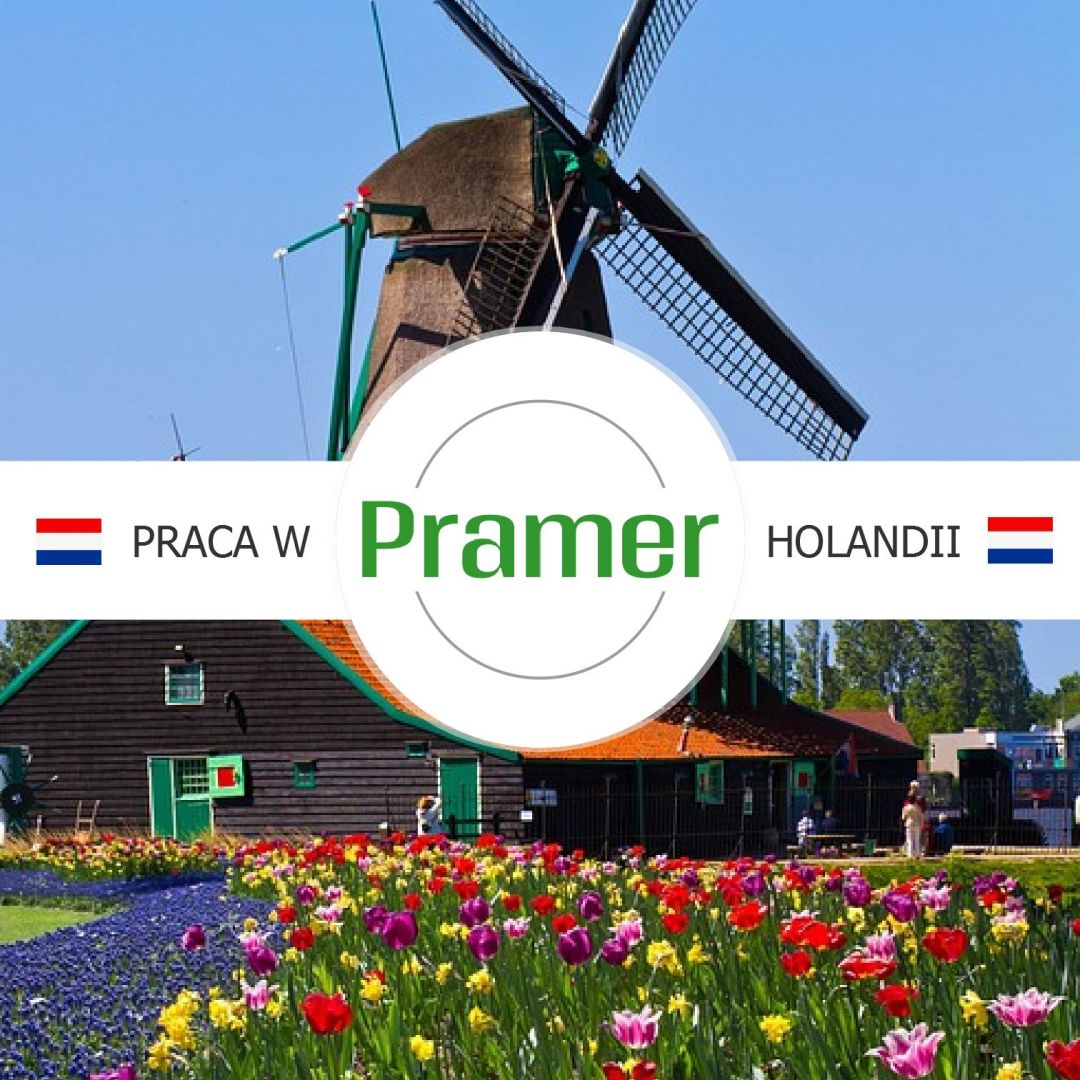 Monter instalacji fotowoltaicznych  - praca w Holandii  - Zdjęcie 1