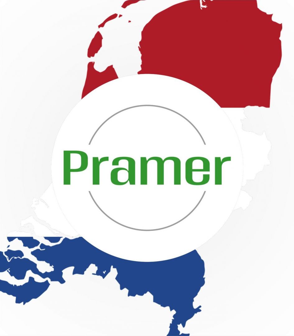 Pracownik szklarni z papryką (Nl, Marknesse)  - Zdjęcie 1