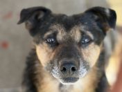 Edek - nigdy nikt go nie pokochał...